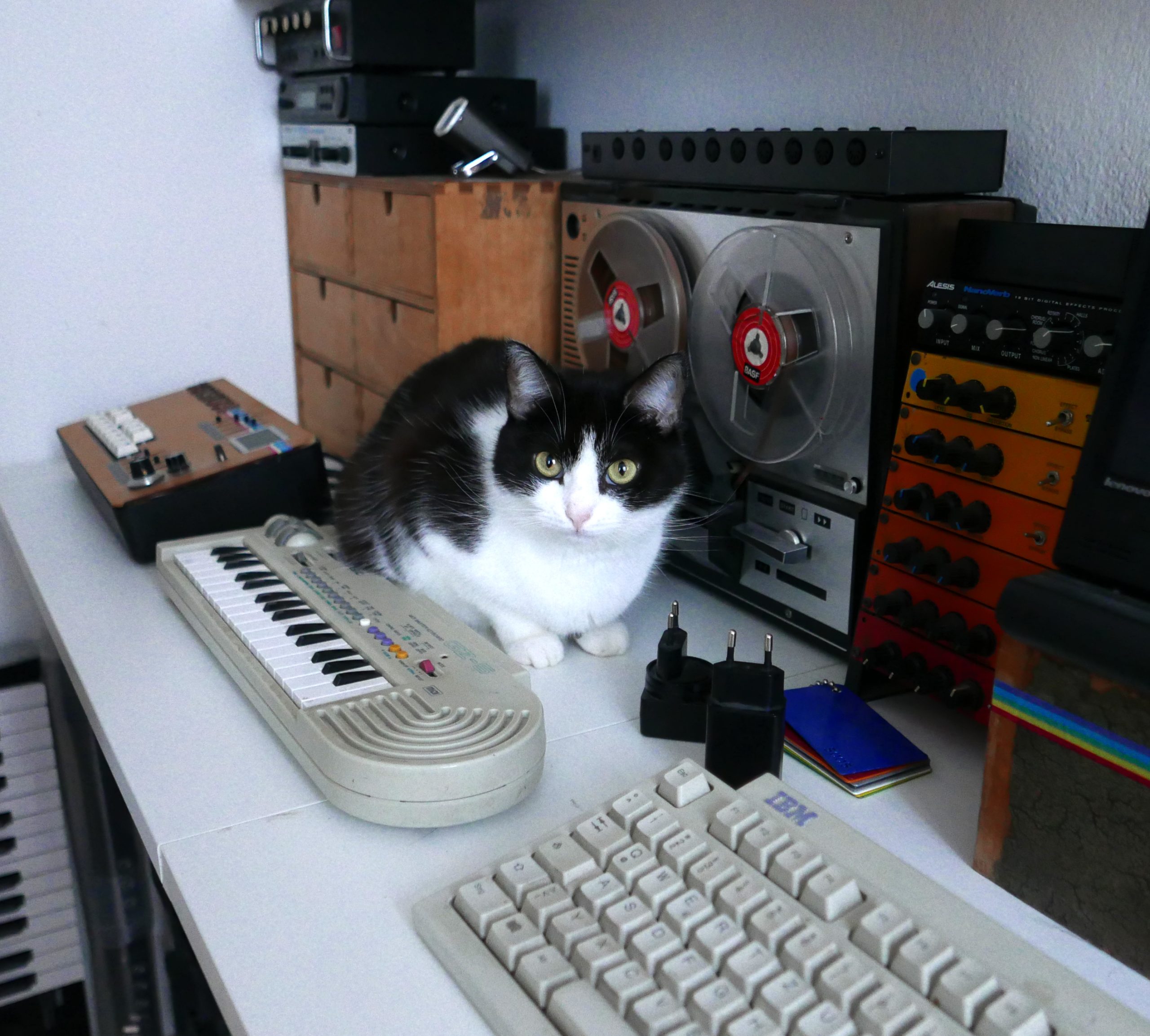 panda is looking for MIDI cables